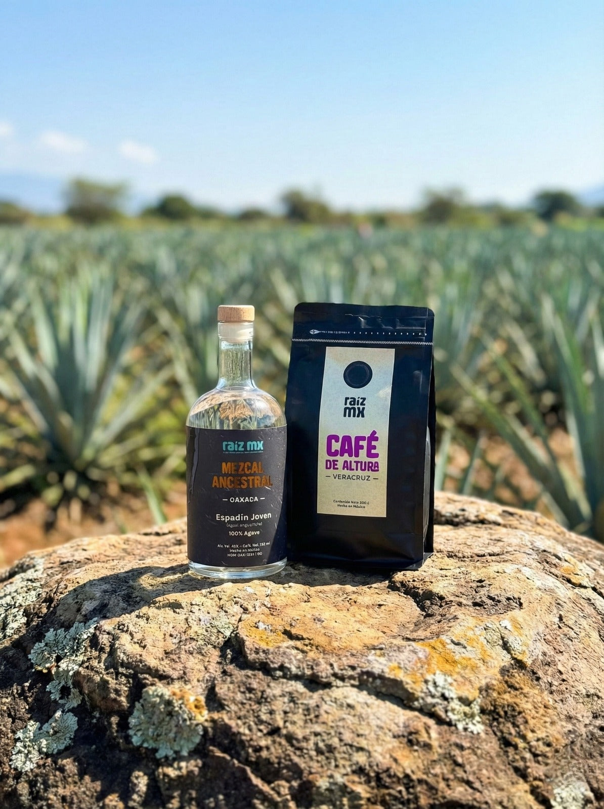 Ritual de Cumbres: Mezcal Ancestral y Café de Veracruz - Envío Incluido